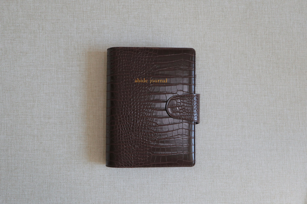 Abide Journal Bundle | Brown Cover & Gold Discs