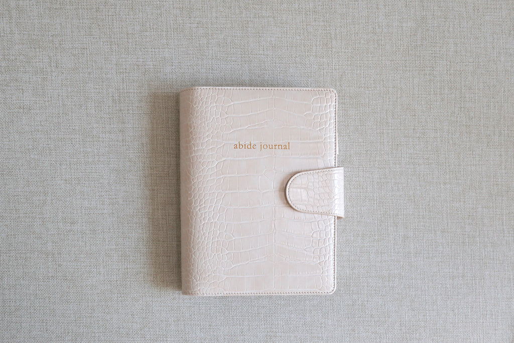 Abide Journal Bundle | Beige Cover & Gold Discs