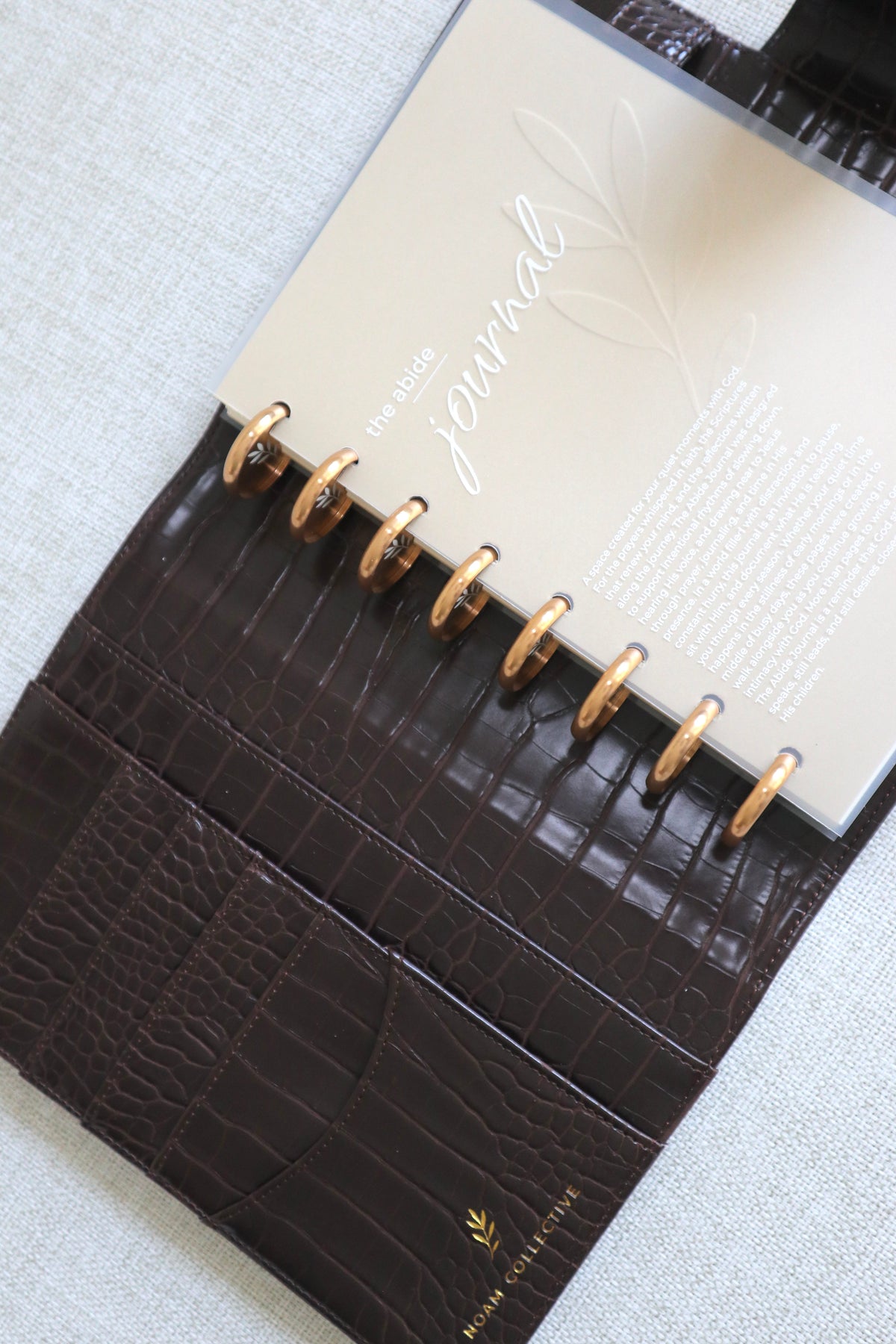 Abide Journal Bundle | Brown Cover & Gold Discs