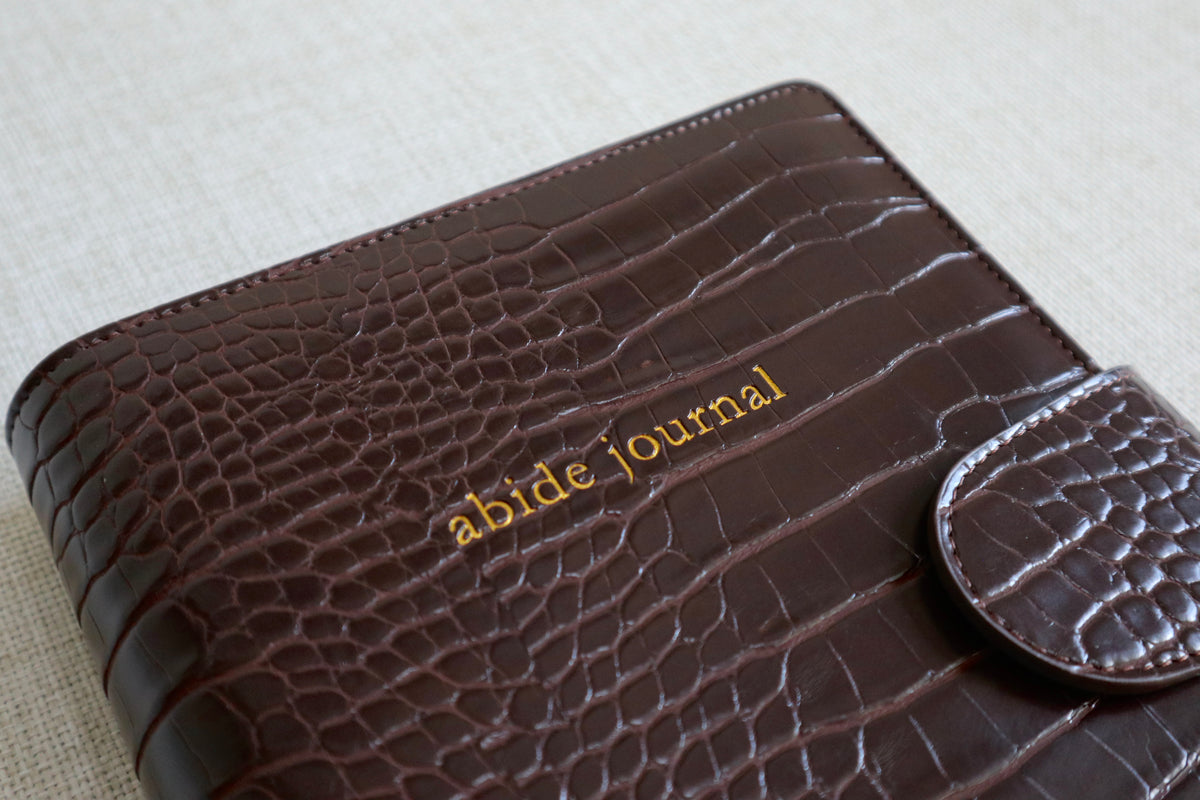 Abide Journal Bundle | Brown Cover & Gold Discs
