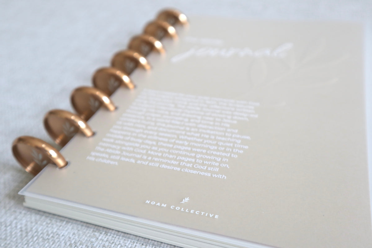 Abide Journal Bundle | Brown Cover & Gold Discs