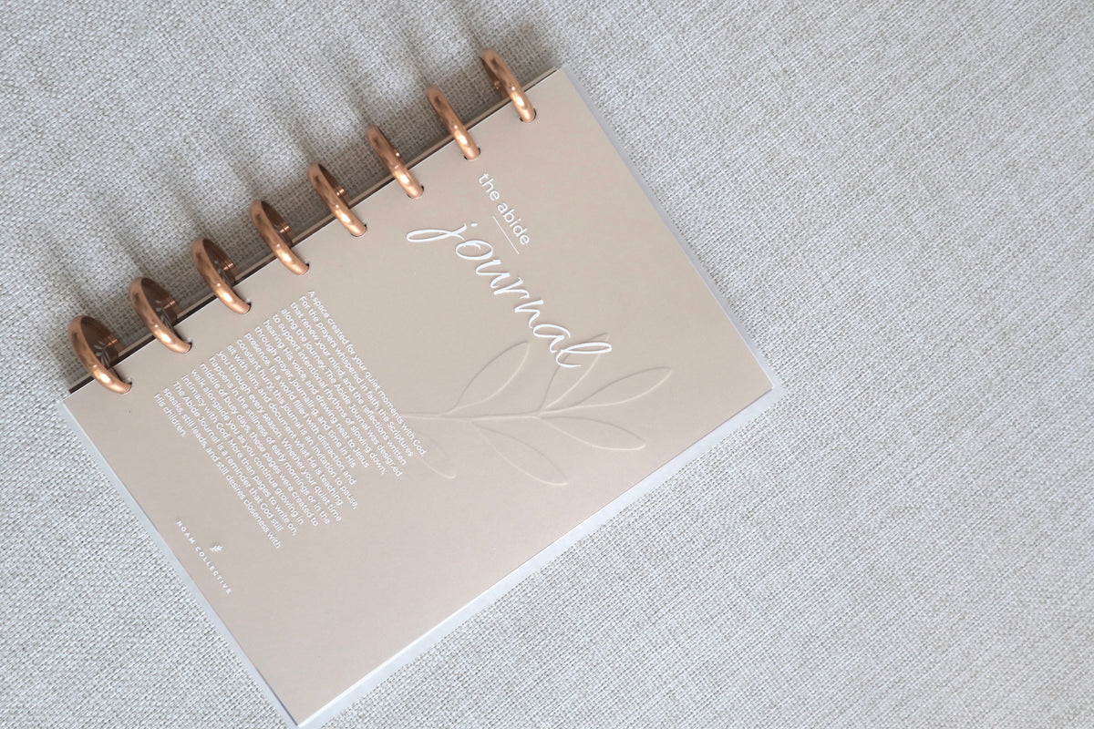 Abide Journal System | Gold Discs